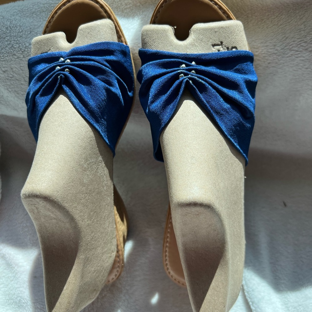 Luxe Blue and Tan Sandals with Elegant Design